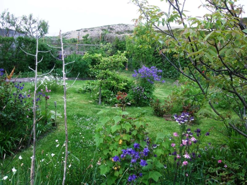 hoernum_garten