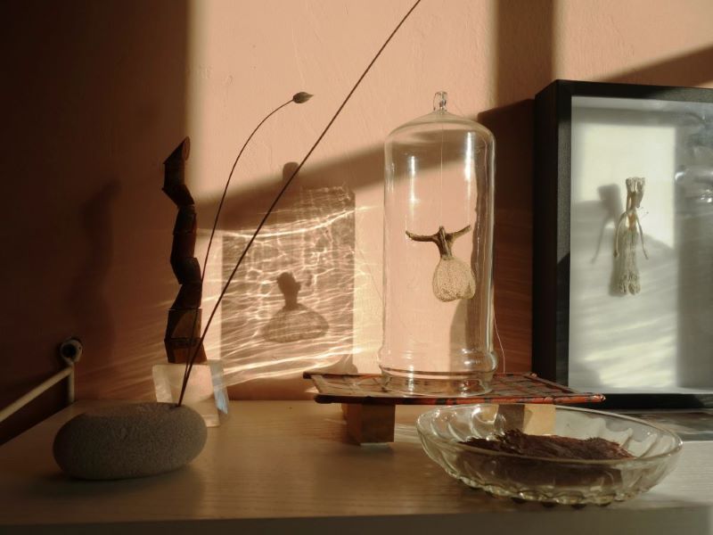 wunderkammer01