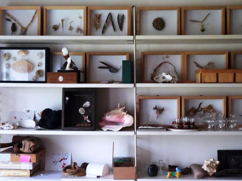 wunderkammer02