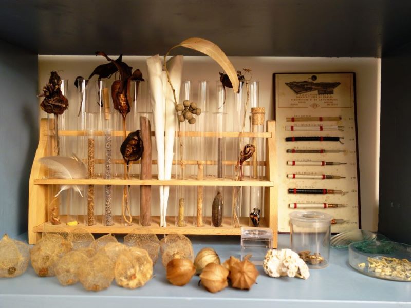 wunderkammer03